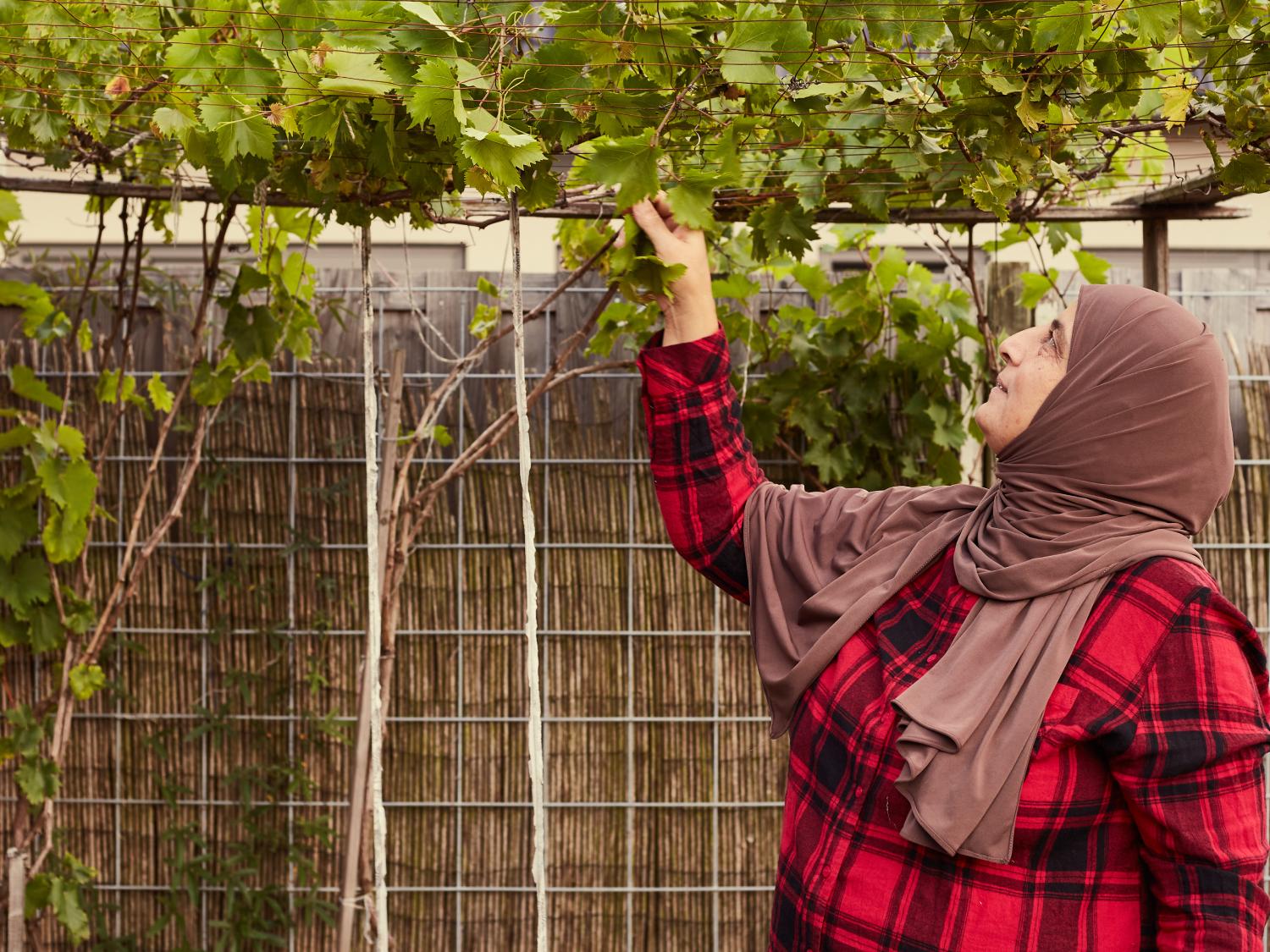 Ghada with a grapevine