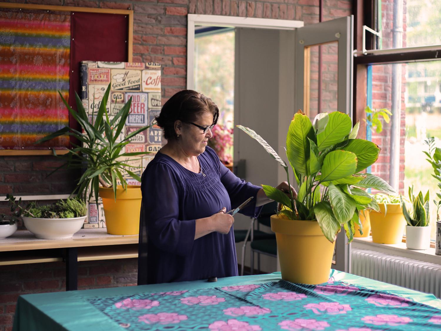 Zeynep caring for a plant.